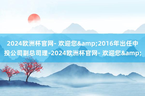 2024欧洲杯官网- 欢迎您&2016年出任中投公司副总司理-2024欧洲杯官网- 欢迎您&