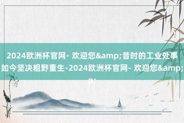 2024欧洲杯官网- 欢迎您&昔时的工业处事如今坚决粗野重生-2024欧洲杯官网- 欢迎您&