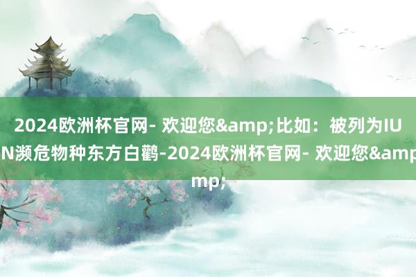 2024欧洲杯官网- 欢迎您&比如：被列为IUCN濒危物种东方白鹳-2024欧洲杯官网- 欢迎您&